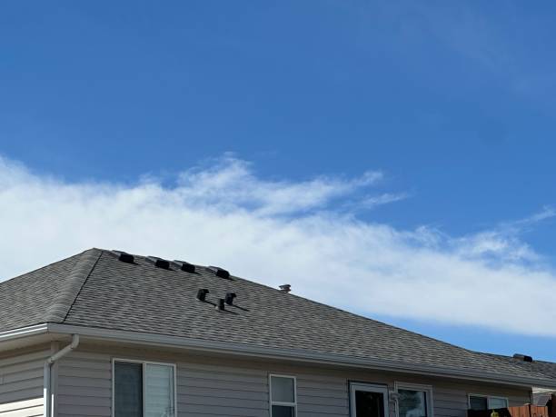 Best Commercial Roofing Services  in Muldraugh, KY